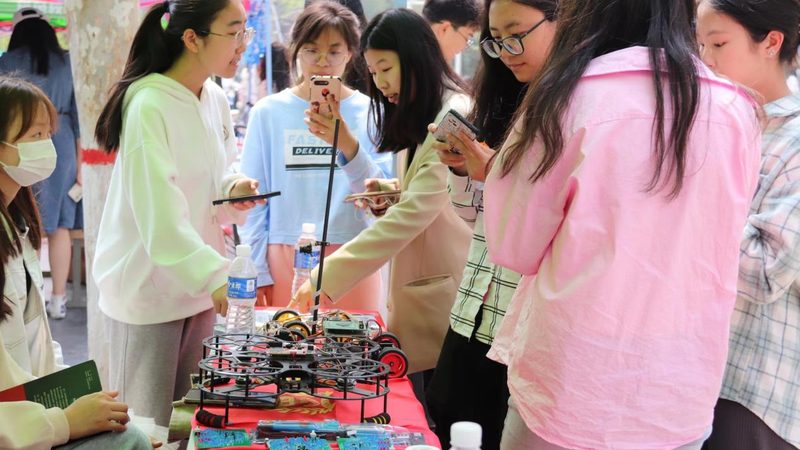 数据可视化图表类型对比