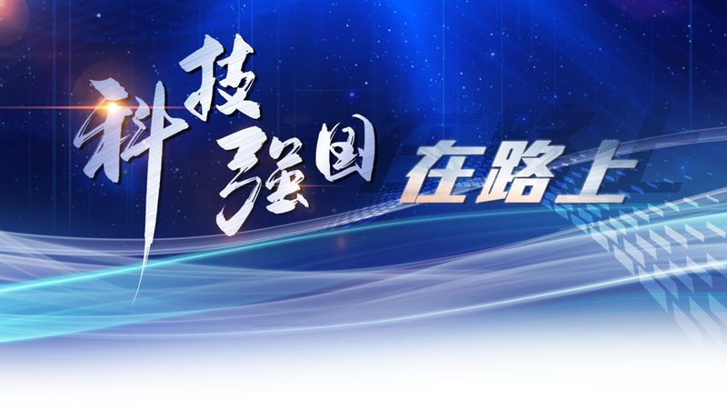企业数据安全方案批发定价背后的真实成本逻辑